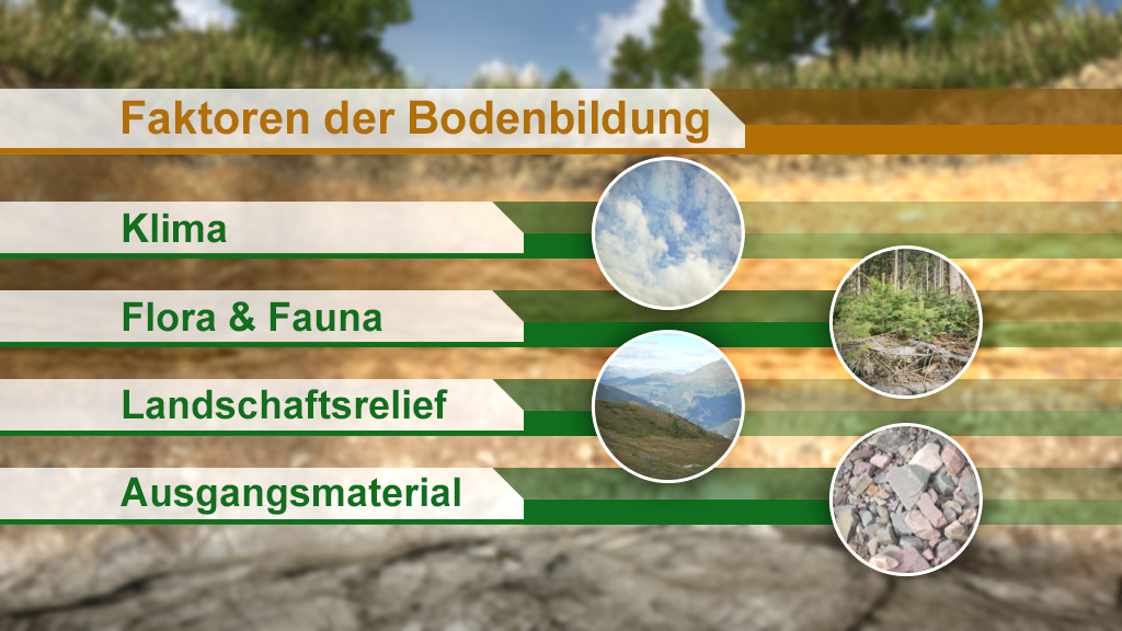 Infografik zu den Faktoren der Bodenbildung: Klima, Flora & Fauna, Landschaftsrelief, Ausgangsmaterial.