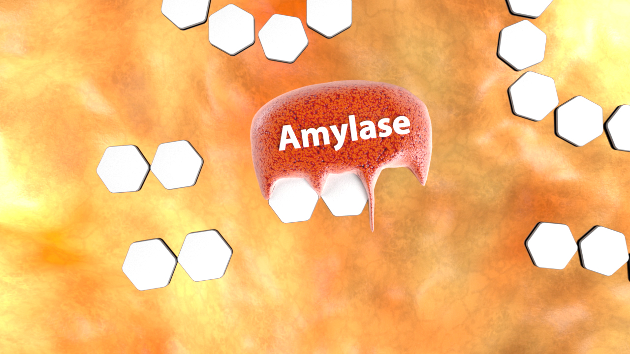 Grafik, die Amylase darstellt, umgeben von hexagonalen Formen auf einem orangefarbenen, verschwommenen Hintergrund.