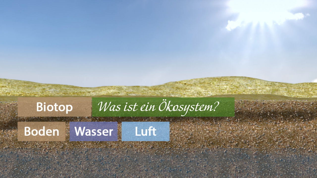 Grafik, die verschiedene Elemente eines Ökosystems zeigt: Biotop, Boden, Wasser und Luft.