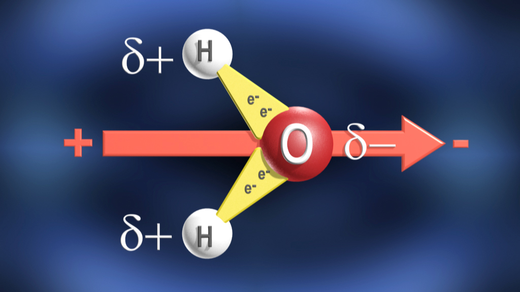 Diagramm, das die Polarität eines Wassermoleküls zeigt, mit einem Sauerstoffatom in der Mitte und Wasserstoffatomen auf beiden Seiten.