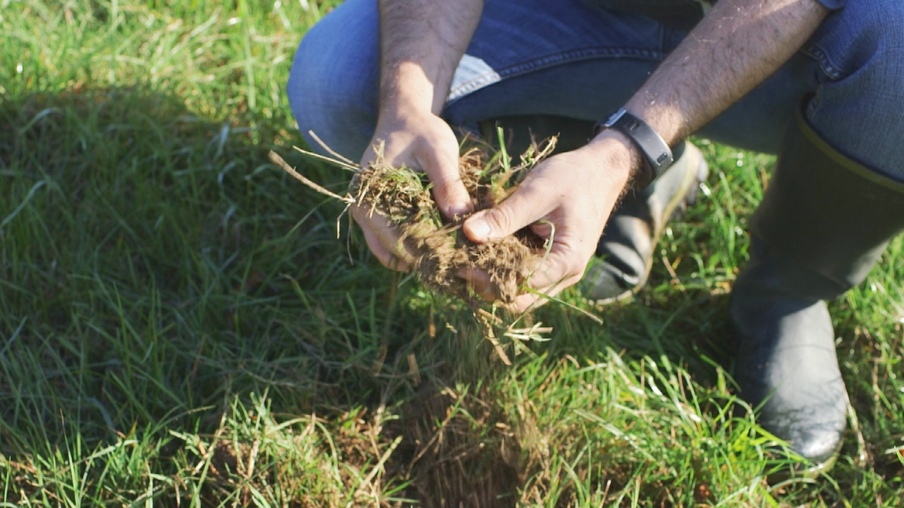 Eine Person kniet im Gras und hält eine Handvoll Erde mit Wurzeln und Gras in den Händen.