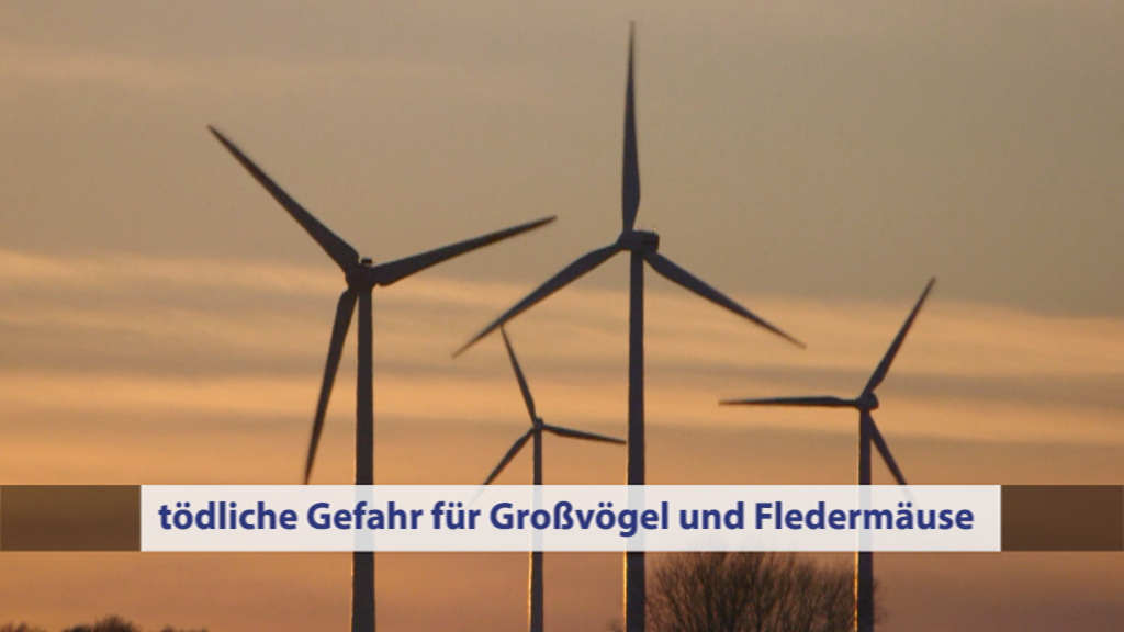 Windkraftanlagen vor einem Sonnenuntergang, mit dem Text 'tödliche Gefahr für Großvögel und Fledermäuse' im Vordergrund.