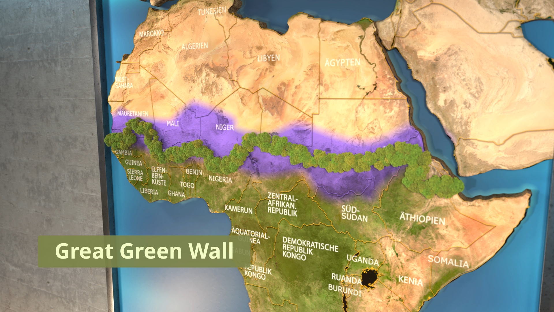 Karte von Afrika mit hervorgehobener 'Great Green Wall' in violett, die sich quer durch die Sahelzone zieht