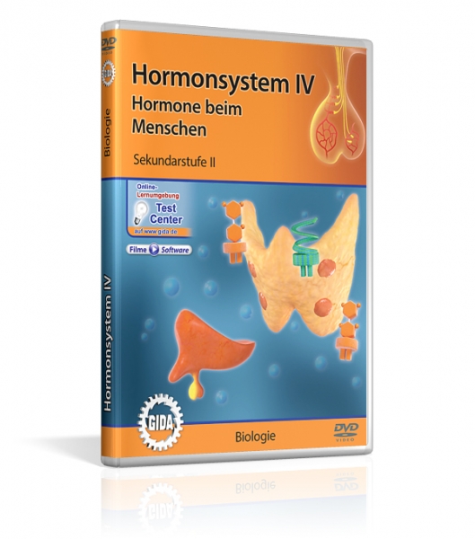 Hormonsystem IV - Hormone beim Menschen