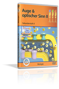 Auge & optischer Sinn II - Schulfilm (DVD)