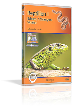 Reptilien I - Schulfilm (DVD)