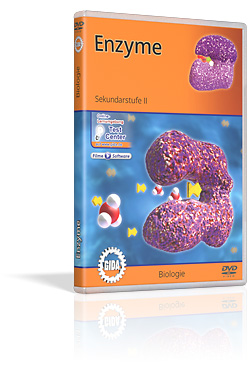 Enzyme - Schulfilm (DVD)