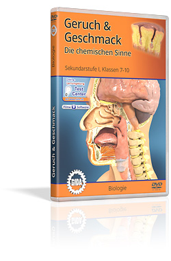 Geruch & Geschmack - Die chemischen Sinne - Schulfilm (DVD)