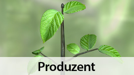 Okosystem I Produzenten Konsumenten Destruenten 1