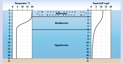 Ökosystem See II Der oligotrophe See im Wechsel der Jahreszeiten