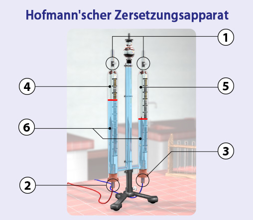 Hofmann'scher Zersetzungsapparat
