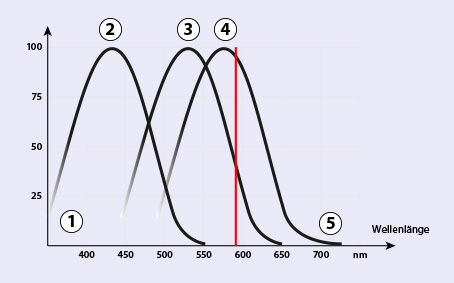 Diagramm zur Entstehung eines Farbeindrucks